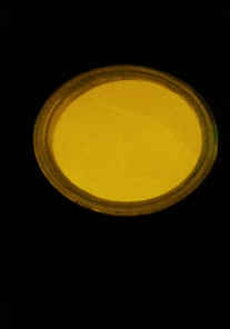 Glow Worm
