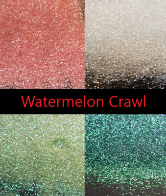 Watermelon Crawl - packet