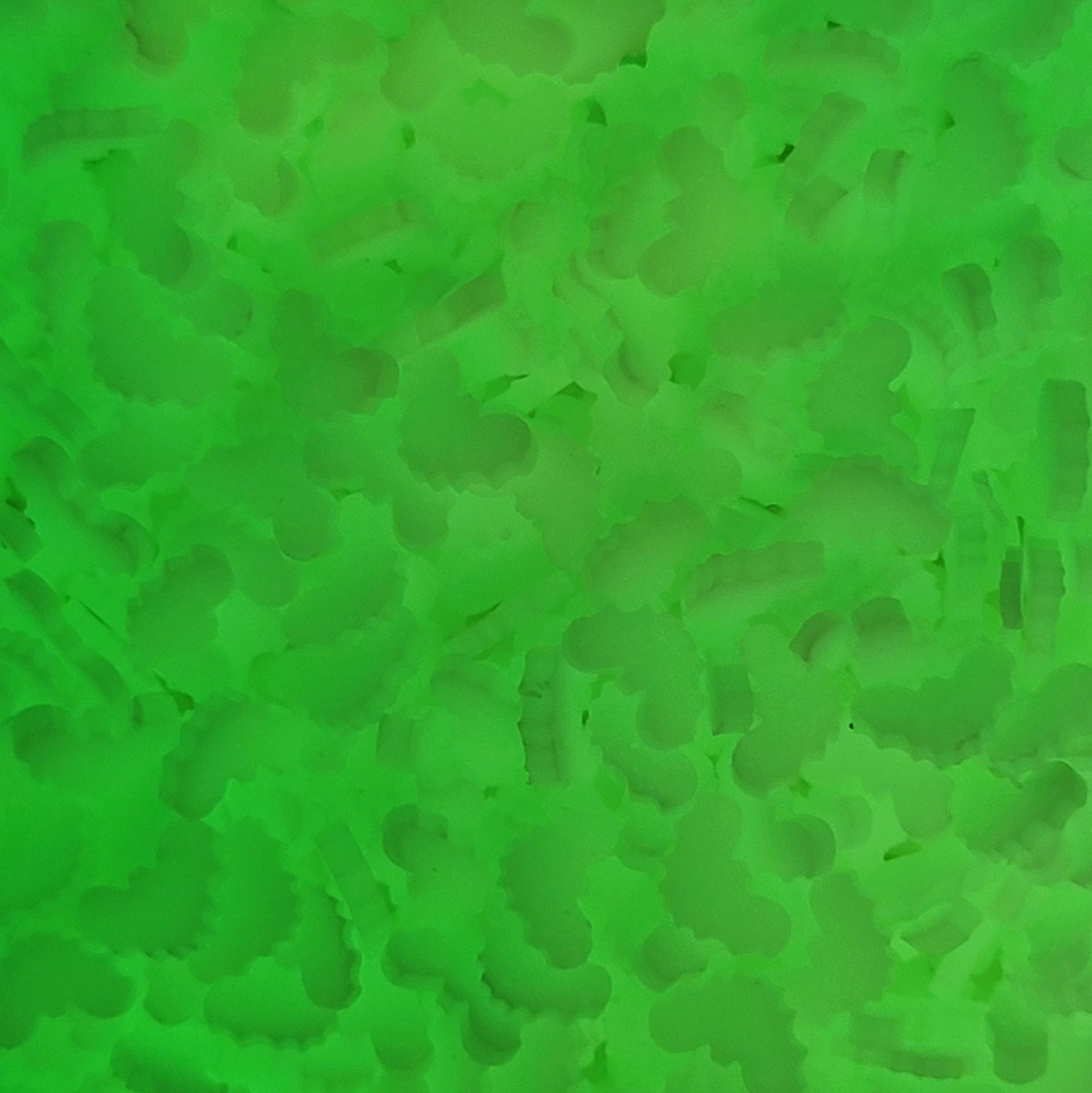 Bats (Glow) (clay) - Image 2