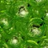 Foil Core - Bright Green 5pc. - Beads