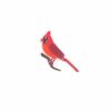 Cardinal - Focal