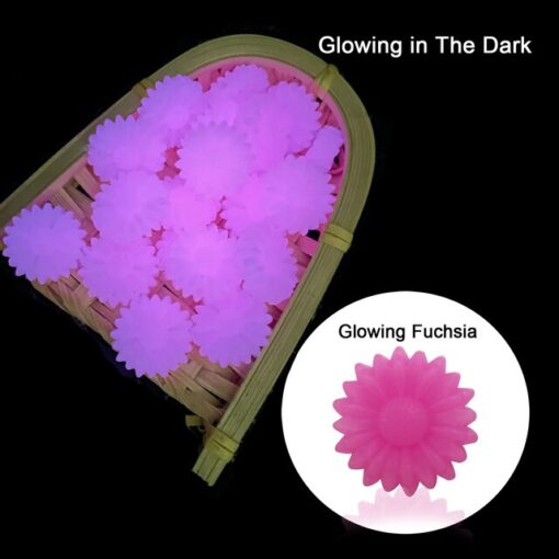 FUCHSIA GLOW Daisy - Focal