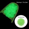 GREEN GLOW Daisy - Focal