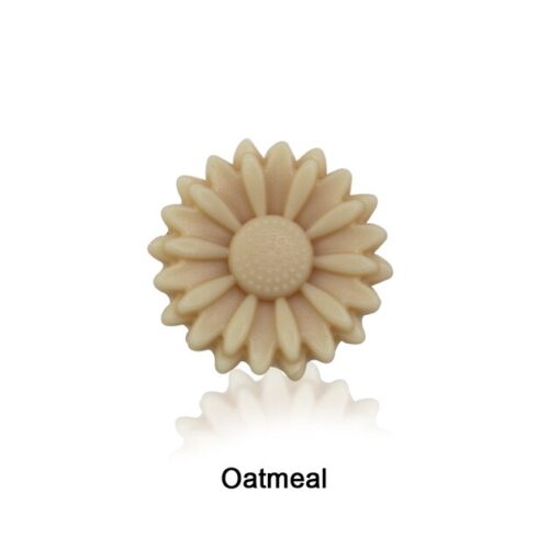 OATMEAL Daisy - Focal
