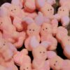 Pig - Focal