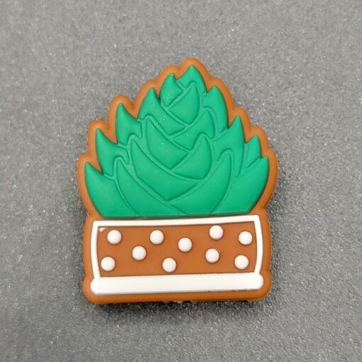 Succulent - Focal