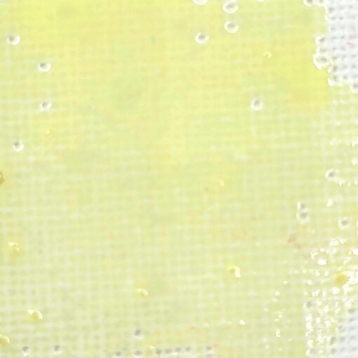 Candy Coated 6pc. Ink Set - Image 5