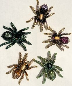 DEP65 - Mystery Tarantula