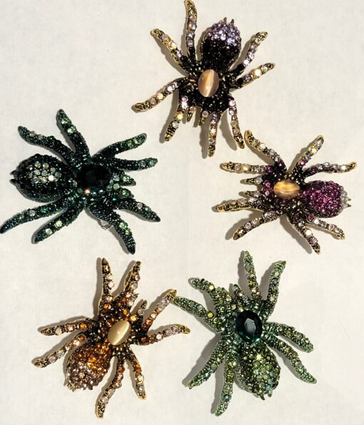 DEP65 - Mystery Tarantula