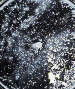 CHANDELIER - Glitter Ink