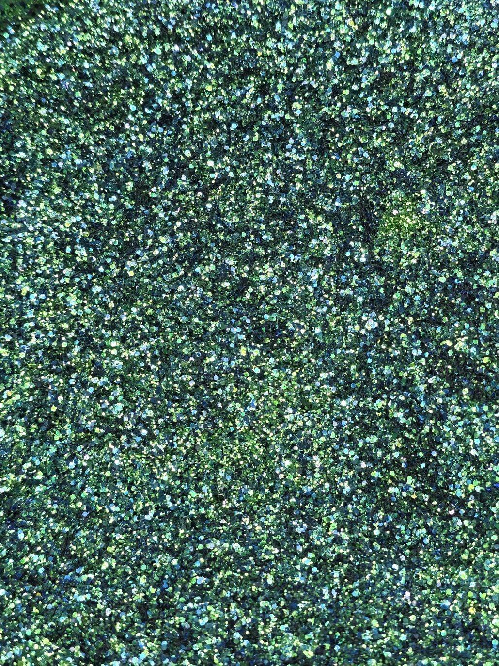 Kaylin's Bug Box, with bonus! - Image 5