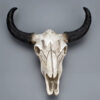 Bull skull (resin)
