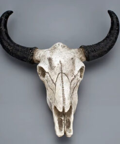 Bull skull (resin)