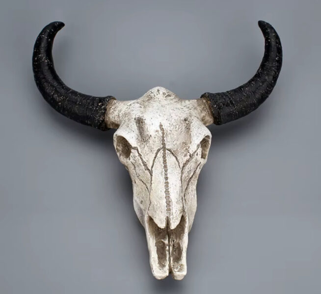 Bull skull (resin)