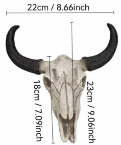 Alternative view of Bull skull (resin)